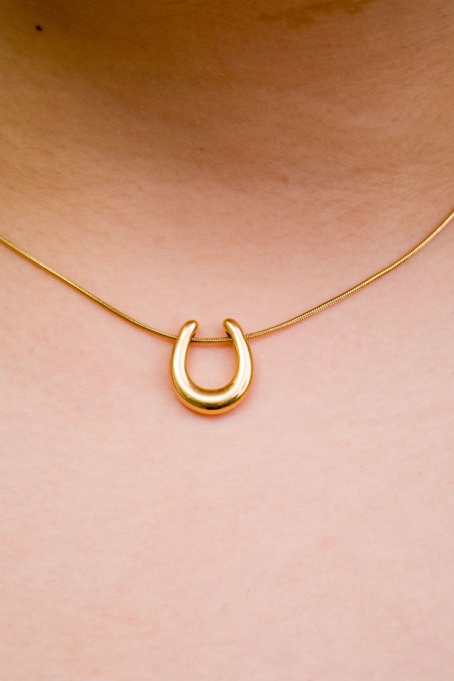 Dainty Horseshoe Necklace