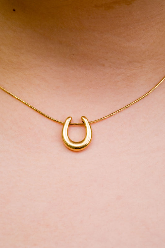 Dainty Horseshoe Necklace