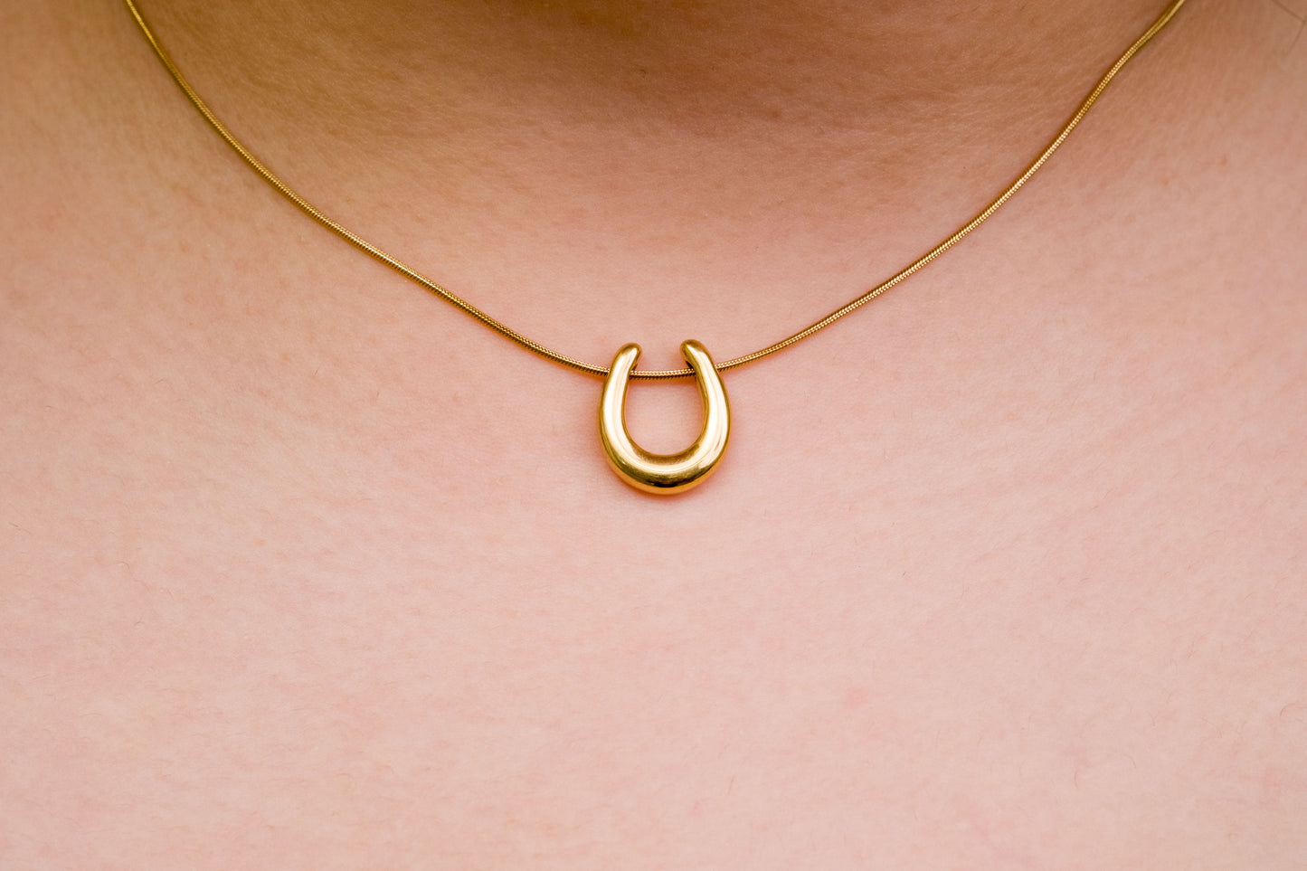 Dainty Horseshoe Necklace